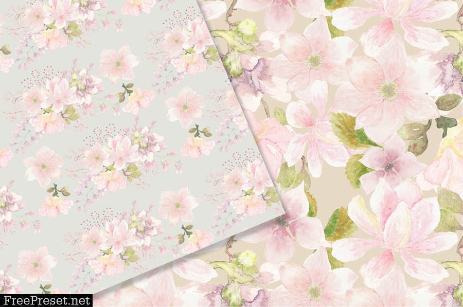 Blush Magnolias Watercolor Patterns PQ7JWMH