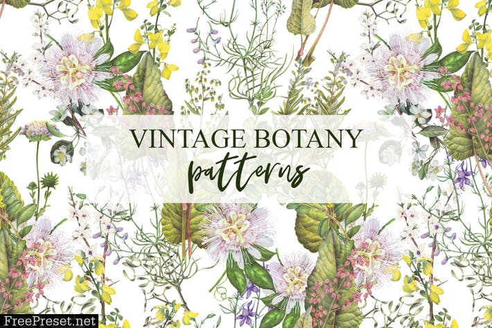 Botanical plants, vegetables, mushrooms patterns 8SBMZAK