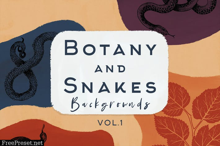 Botany And Snakes Backgrounds Vol.1 8XTL9BB
