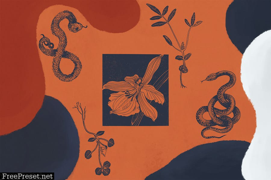 Botany And Snakes Backgrounds Vol.2 A4DKW55