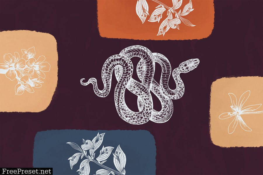 Botany And Snakes Backgrounds Vol.2 A4DKW55