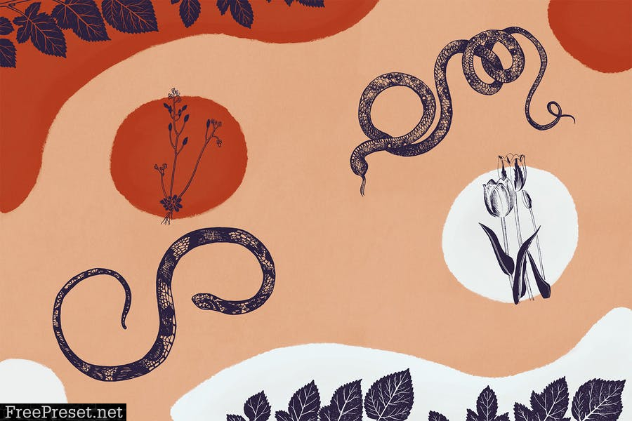 Botany And Snakes Backgrounds Vol.2 A4DKW55