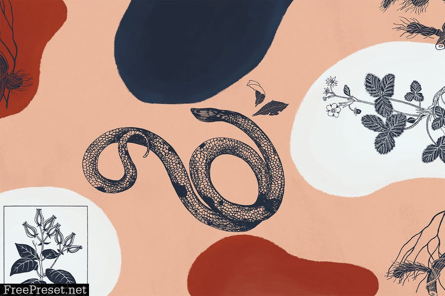 Botany And Snakes Backgrounds Vol.2 A4DKW55