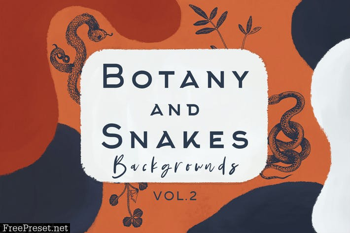 Botany And Snakes Backgrounds Vol.2 A4DKW55