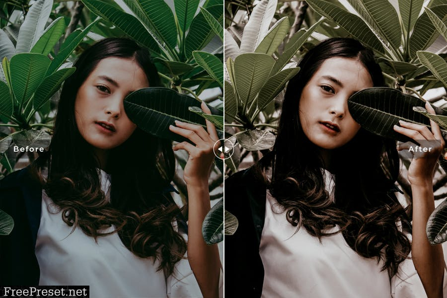 Cassia Vera Mobile & Desktop Lightroom Presets