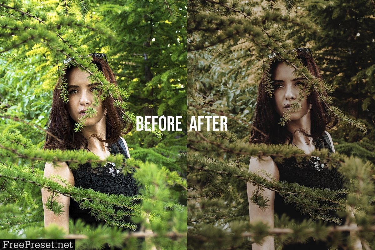 EARTH TONES Lightroom Presets 4628464