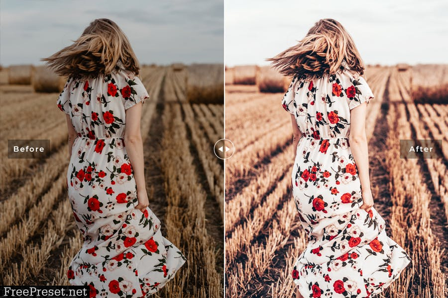 Harvest Mobile & Desktop Lightroom Presets