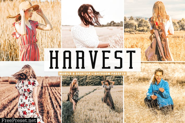 Harvest Mobile & Desktop Lightroom Presets