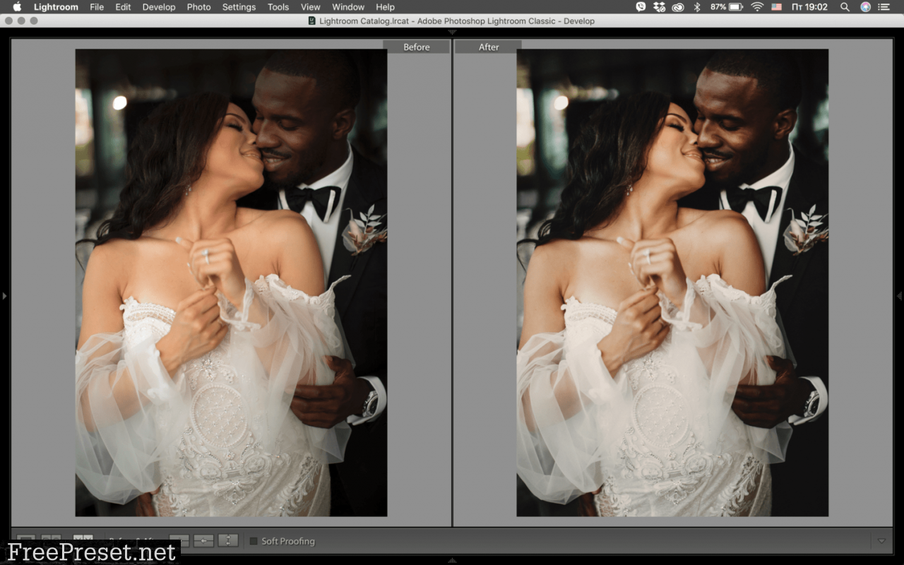 IVASH Studio - Wedding MIAMI - 1 GOLD Skin Lightroom Preset