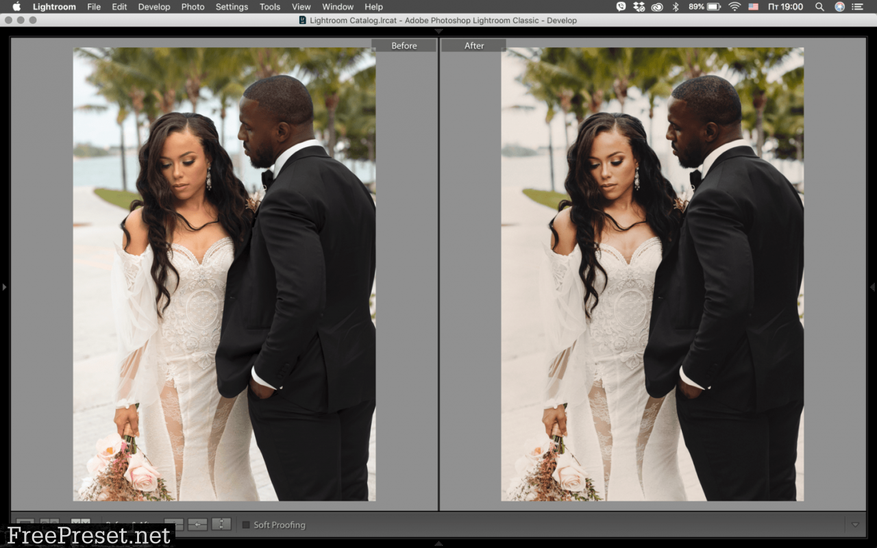 IVASH Studio - Wedding MIAMI - 1 GOLD Skin Lightroom Preset