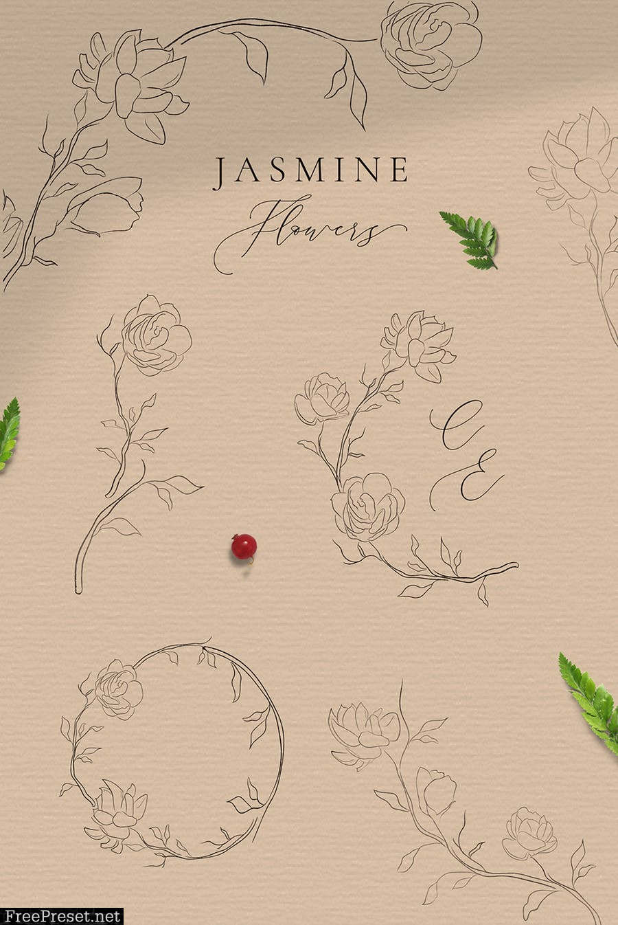 Jasmine Flowers Line Art Ornate Elements HZR7SKN