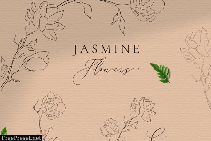 Jasmine Flowers Line Art Ornate Elements HZR7SKN