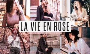 La Vie En Rose Mobile & Desktop Lightroom Presets
