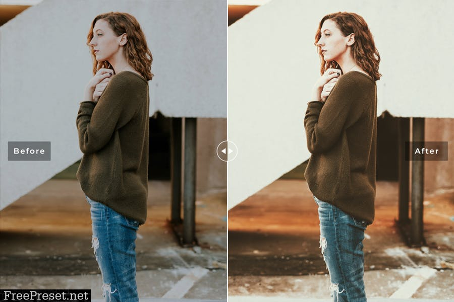 Laconic Mobile & Desktop Lightroom Presets