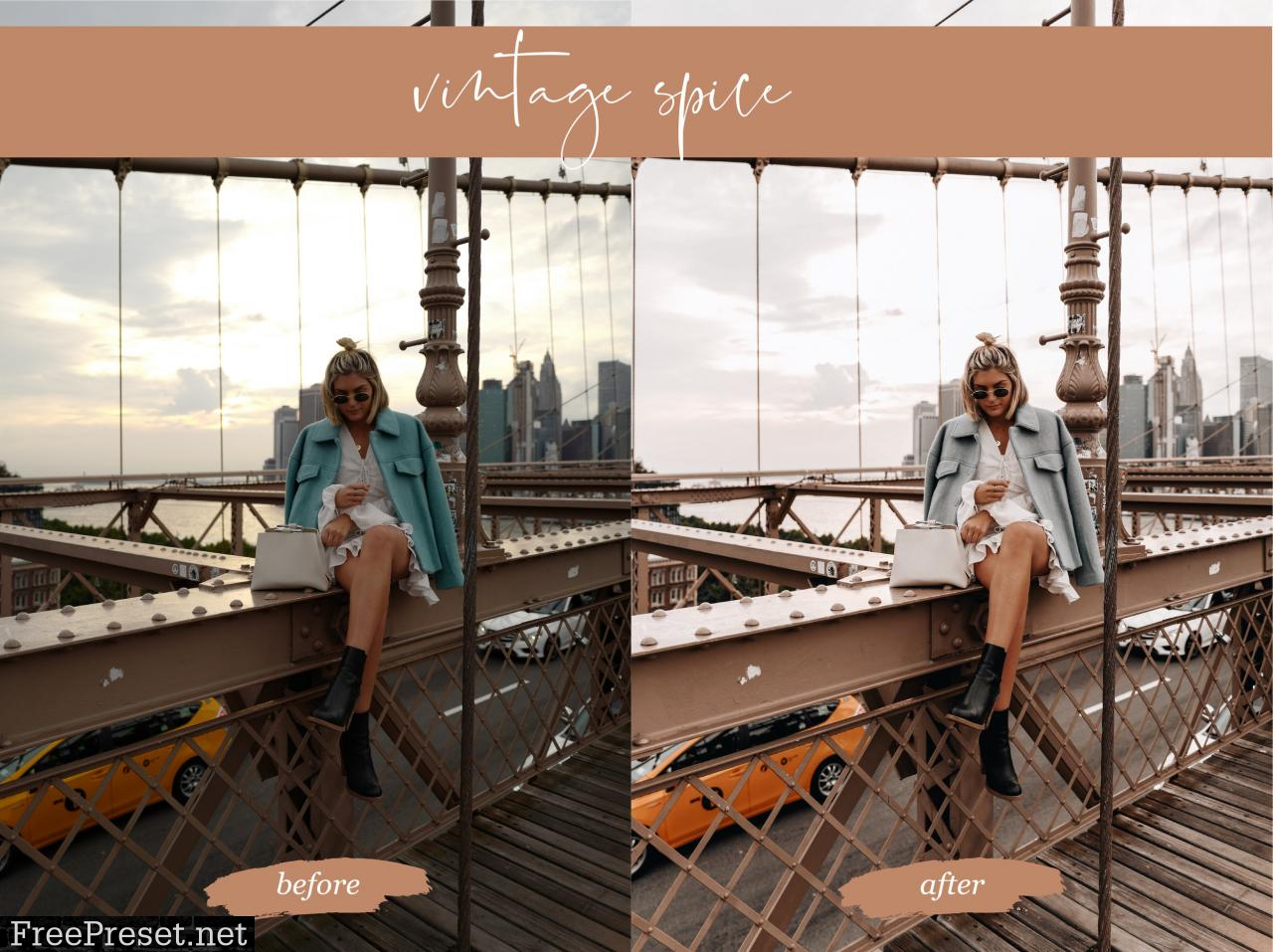 Lovelyluciano - VINTAGE SPICE Mobile Preset