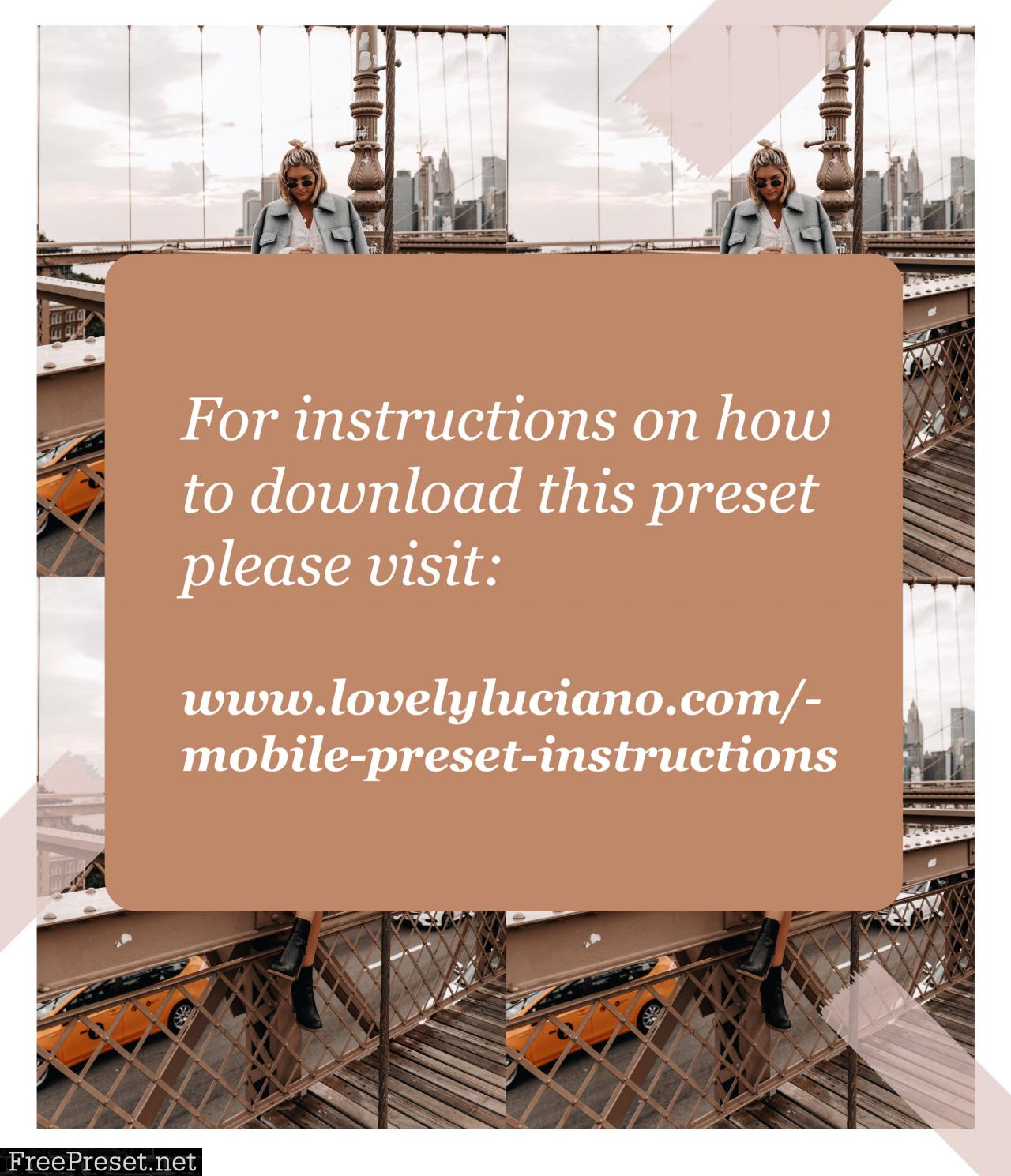 Lovelyluciano - VINTAGE SPICE Mobile Preset