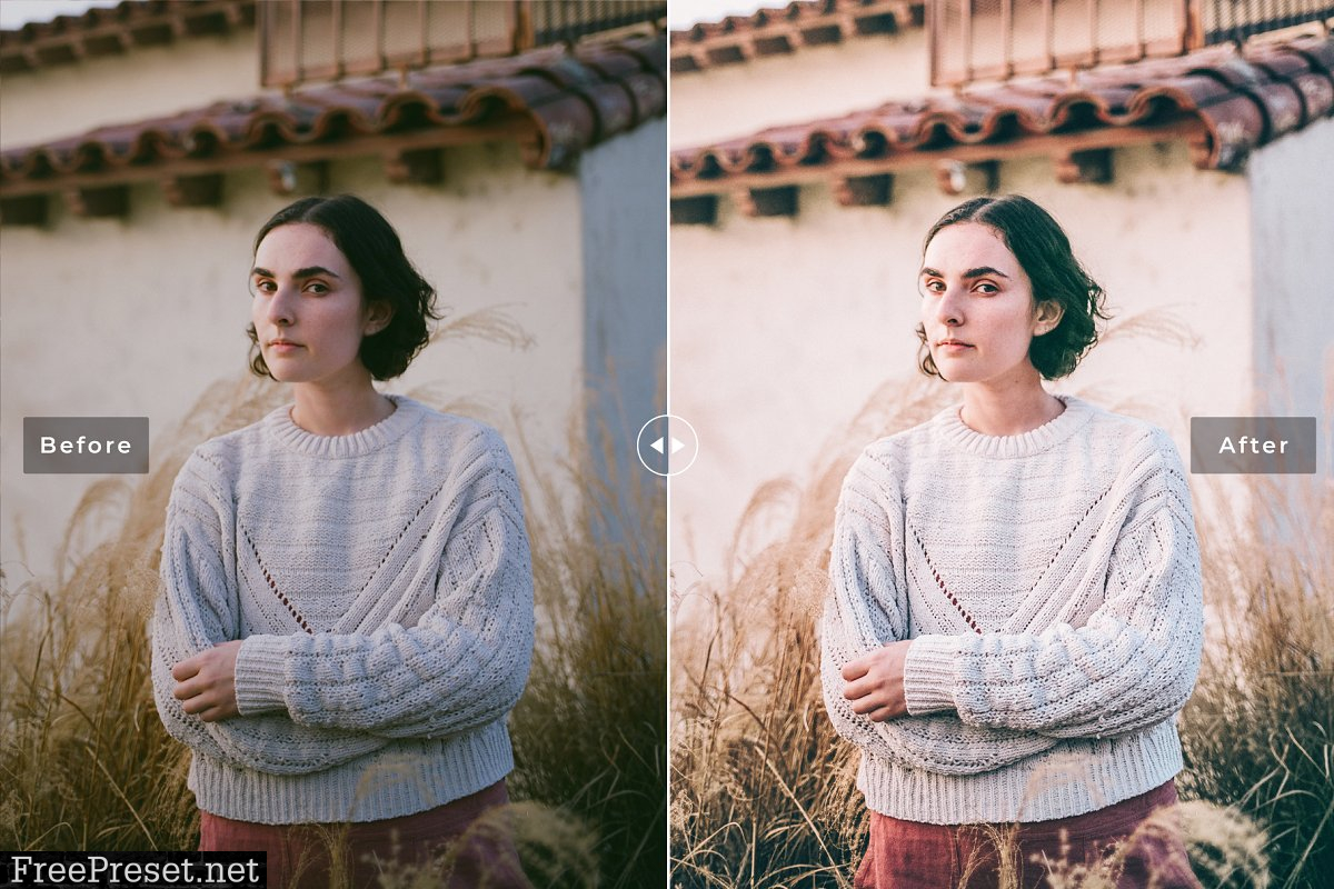 Luminizer Pro Lightroom Presets 3627263