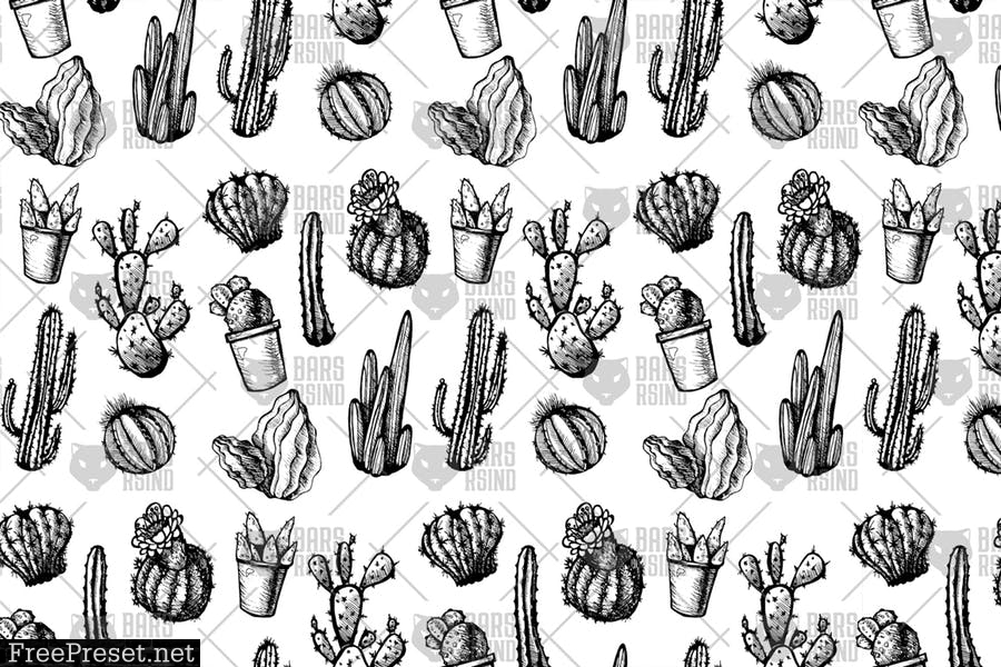 Mexican Cactus Patterns  YW6HGD