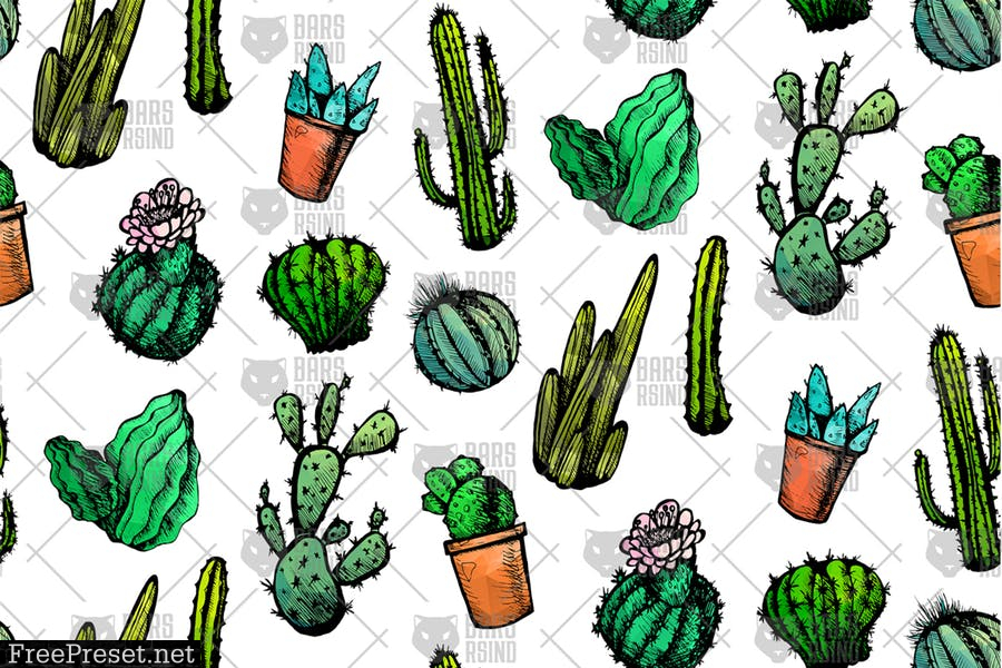 Mexican Cactus Patterns  YW6HGD