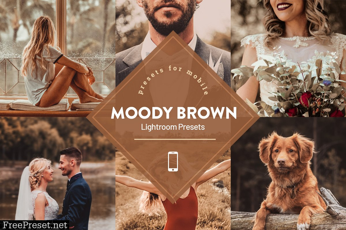 Moody Brown Lightroom Preset 4593839