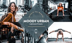 Moody Urban Lightroom Presets 4593840