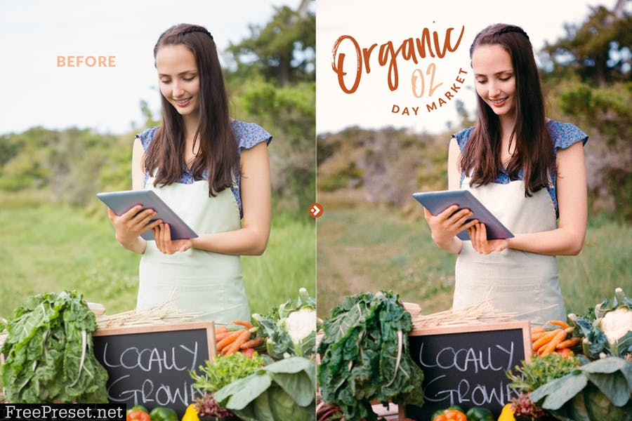 Organic Food Presets for Desktop & Mobile
