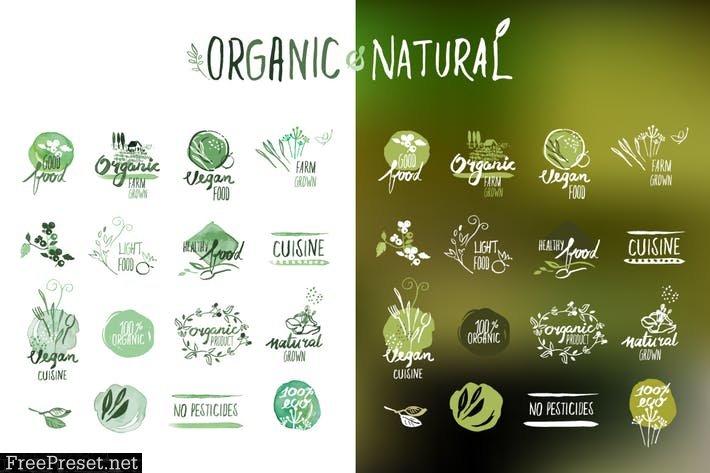 Organic food stickers and badges HWJNC45