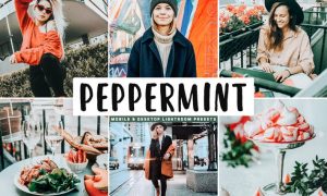 Peppermint Mobile & Desktop Lightroom Presets