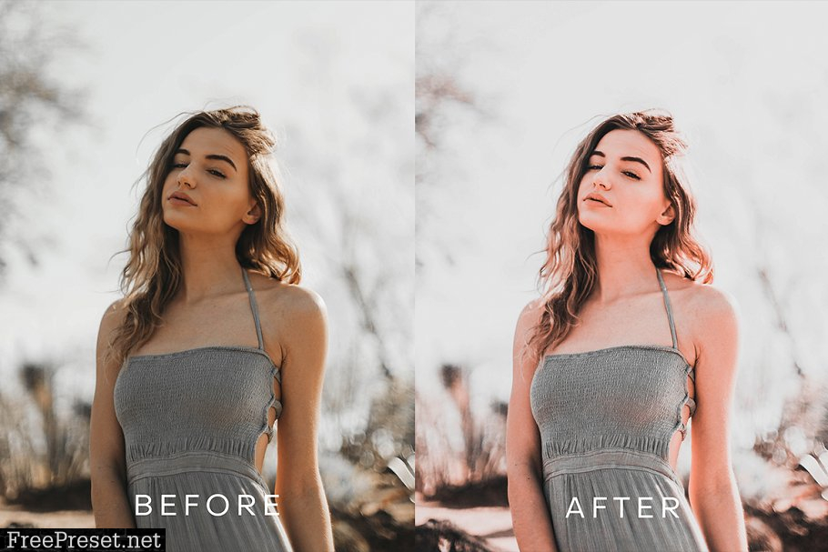 PH Orange Lightroom Presets V2 4552333