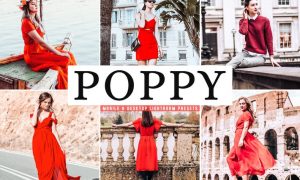 Poppy Mobile & Desktop Lightroom Presets