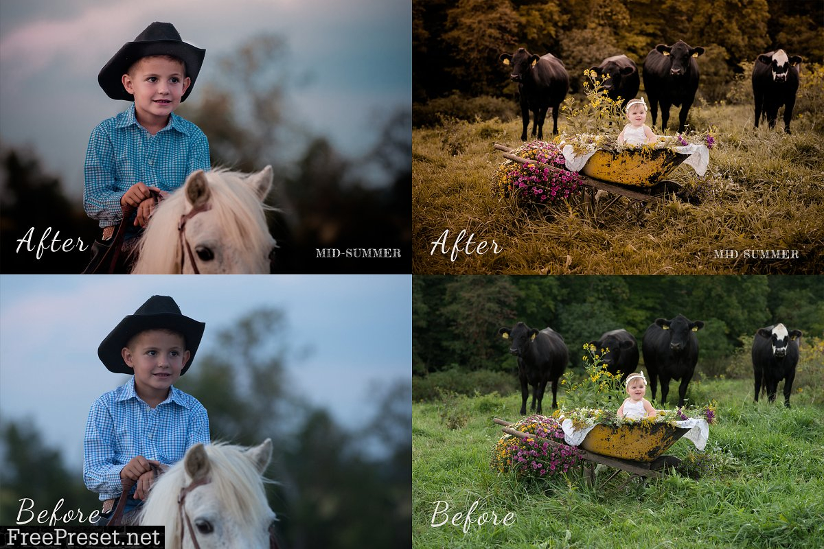 Ranch Presets for Lightroom   Mobile 4535557