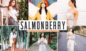 Salmonberry Mobile & Desktop Lightroom Presets