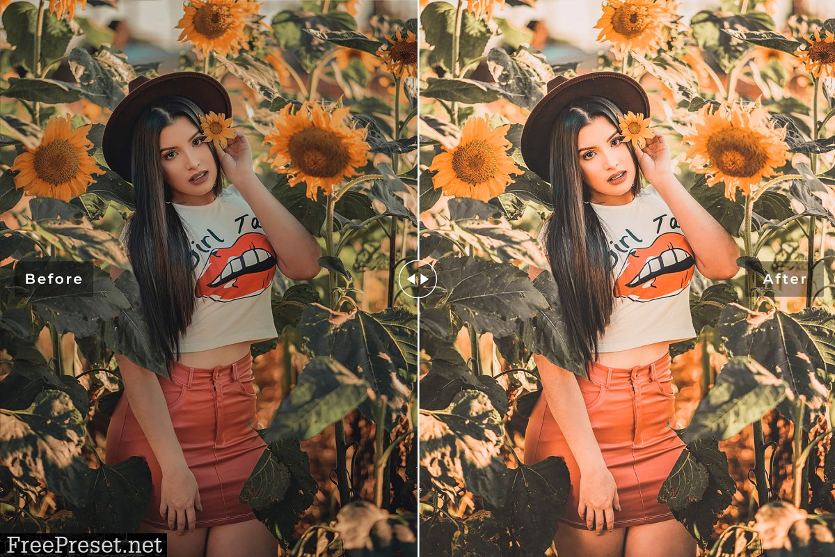 Sunflower Lightroom Presets Pack 4659224