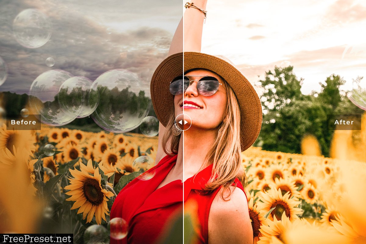 Sunflower Lightroom Presets Pack 4659224