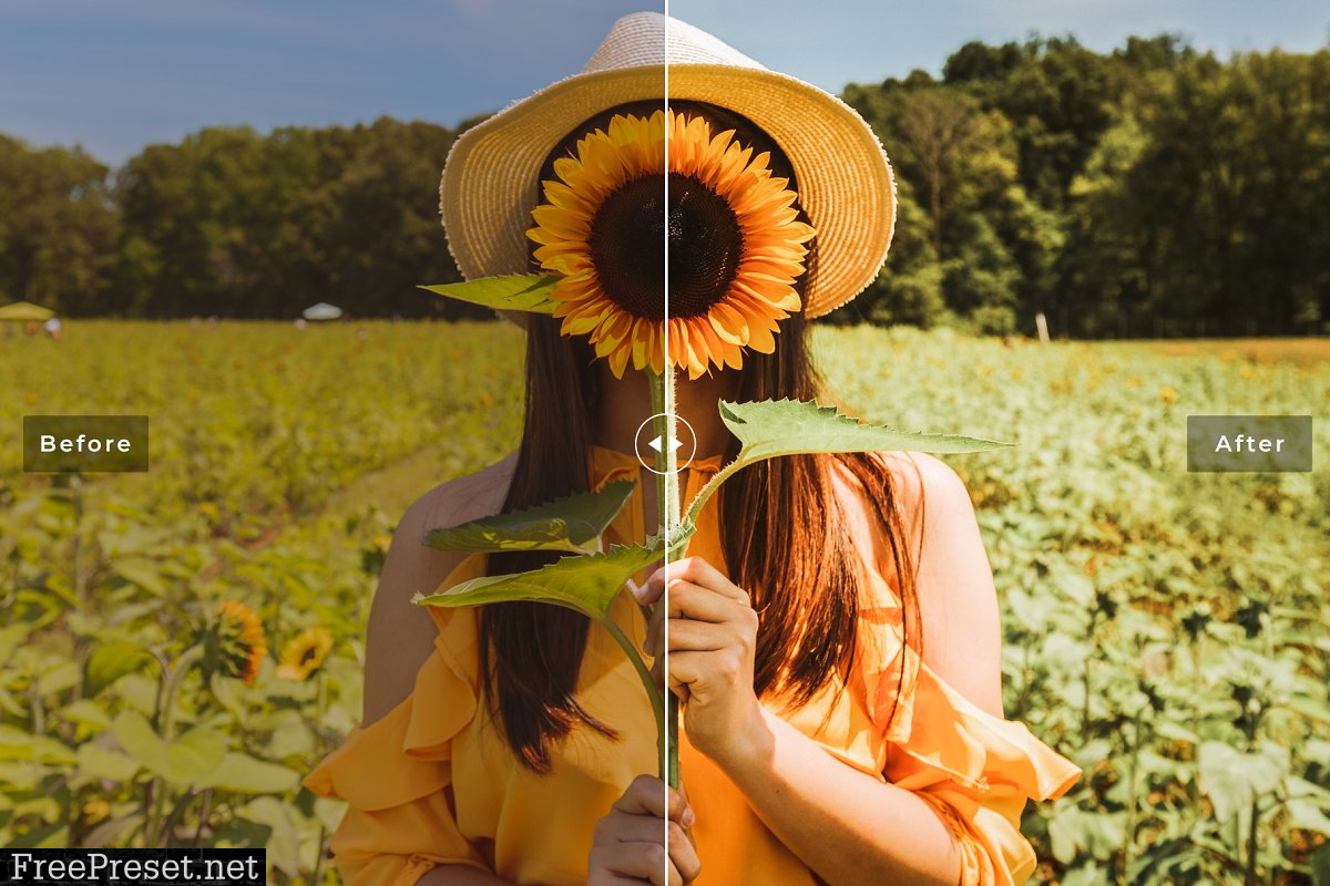 Sunflower Lightroom Presets Pack 4659224