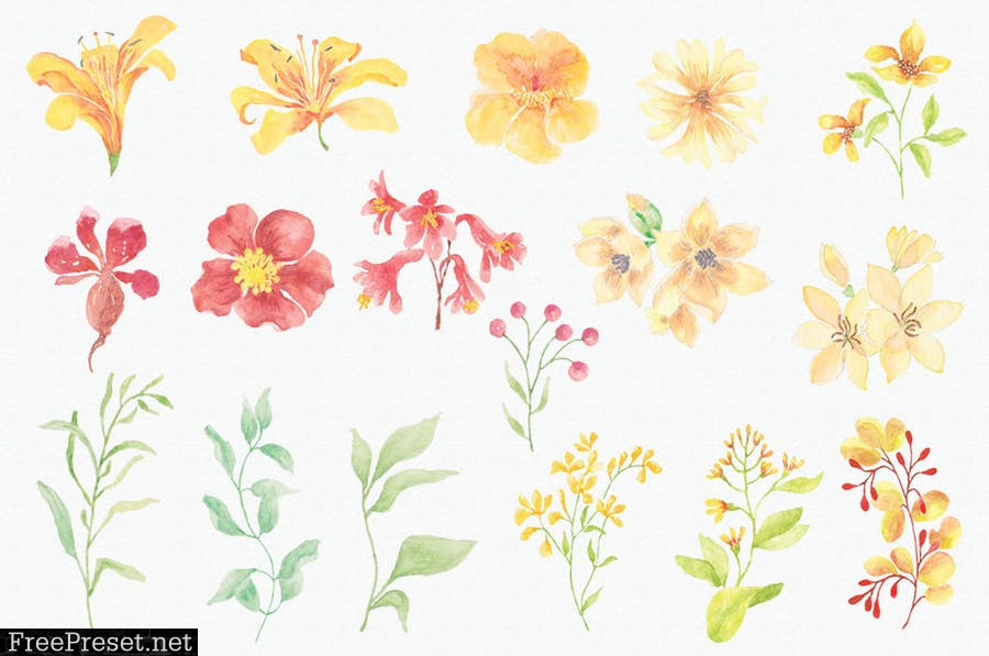 Sunny Flowers: Watercolor Clip Art Mini Bundle YC5SSDV