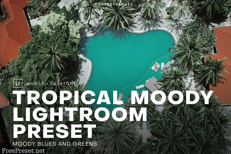 Tropical Moody Lightroom Preset 4552639