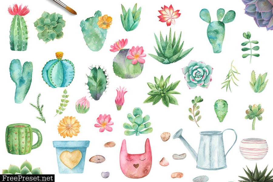 Watercolor Cacti and Succulents HLLGLTS