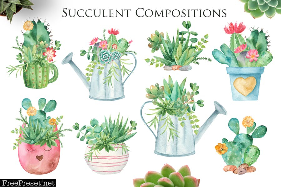 Watercolor Cacti and Succulents HLLGLTS