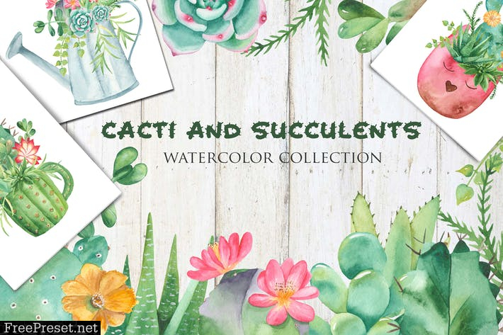 Watercolor Cacti and Succulents HLLGLTS