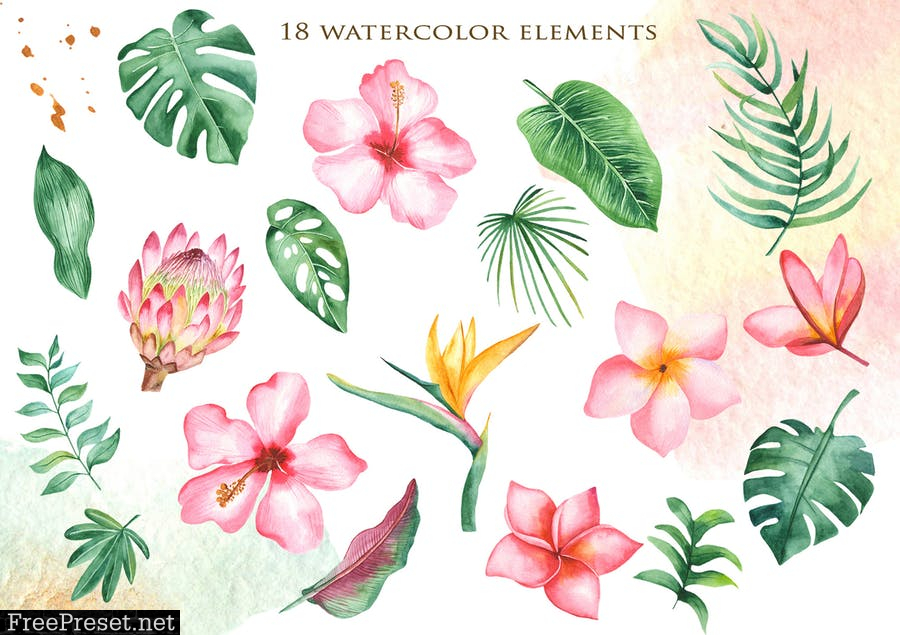 Watercolor tropical collection MCLGE3J