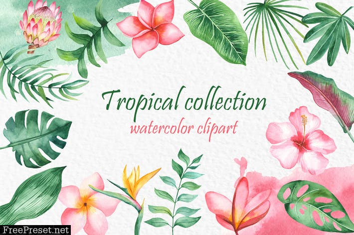 Watercolor tropical collection MCLGE3J