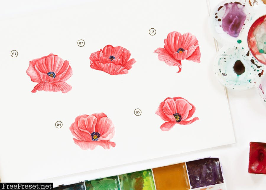 15 Watercolor Poppy Flower Illustration K5AH6EY