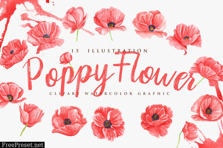 15 Watercolor Poppy Flower Illustration K5AH6EY