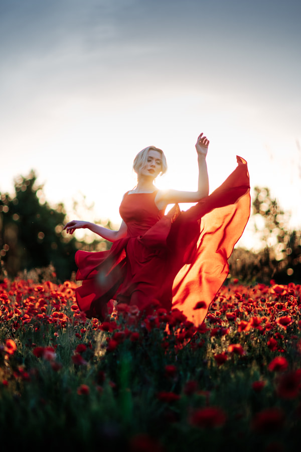 sunset and poppies by Marco Bernardi on 500px.com