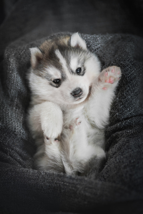 Hi! by Iza ?yso? on 500px.com