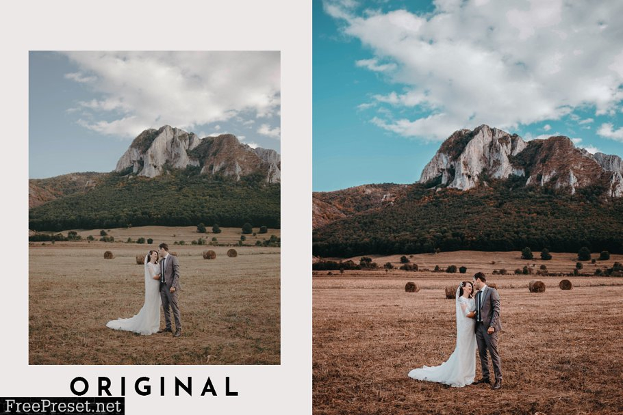 2100+ Lightroom & ACR Presets Bundle 3847032