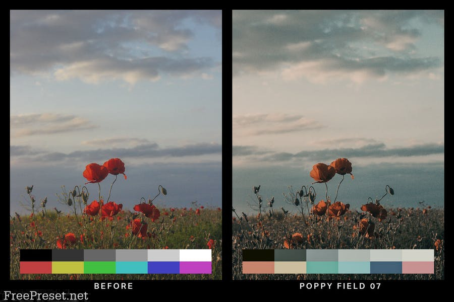 50 Desolated Cinematic Lightroom Presets and LUTs