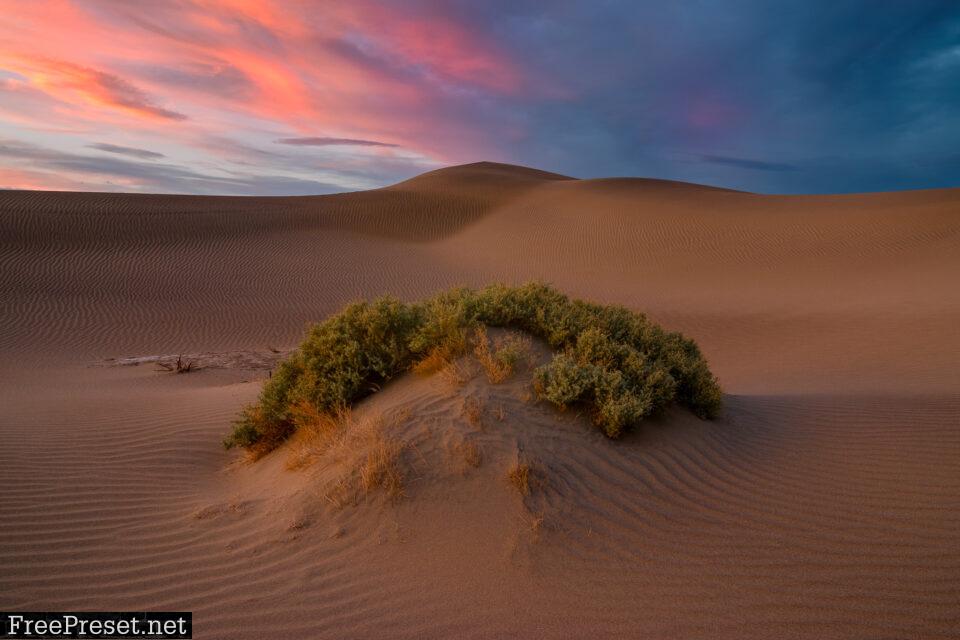 An image of a sand dune in Death Valley National Park that is intended for viewing EXIF data.