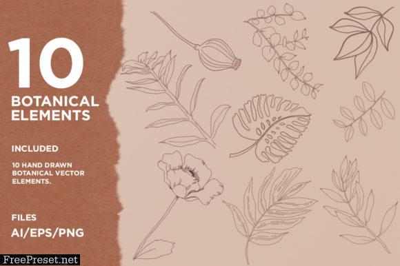 Botanical Seamless Patterns